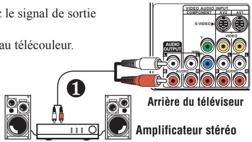 SANYO DS32424 - Branchement d'un amplificateur stéréo dans les prises de sortie audio - 1