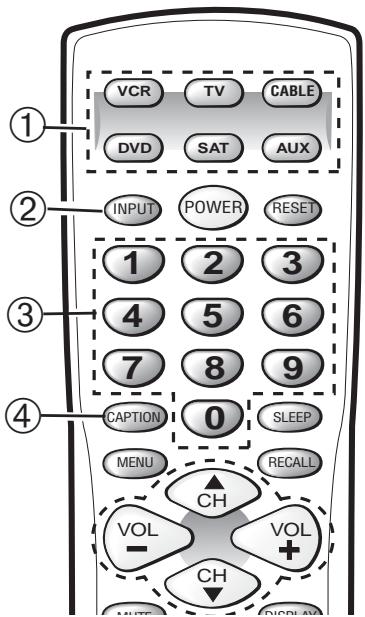 SANYO DS32424 - Remote Control Keys - 1