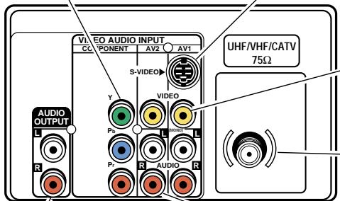 SANYO DS35520 - Borne d'entrée vidéo S (AV1) (Super Video) - 1