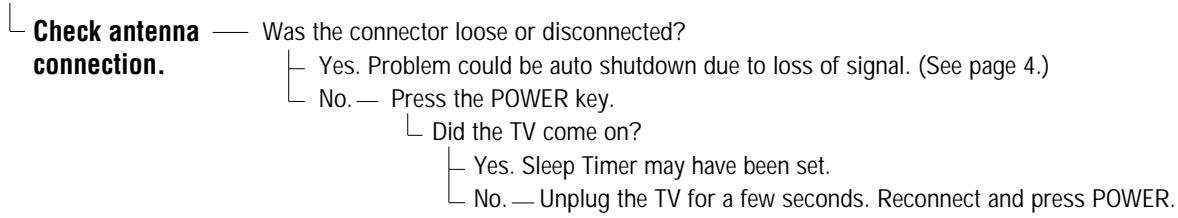 SANYO DS35520 - TV Turns off by itself - 1