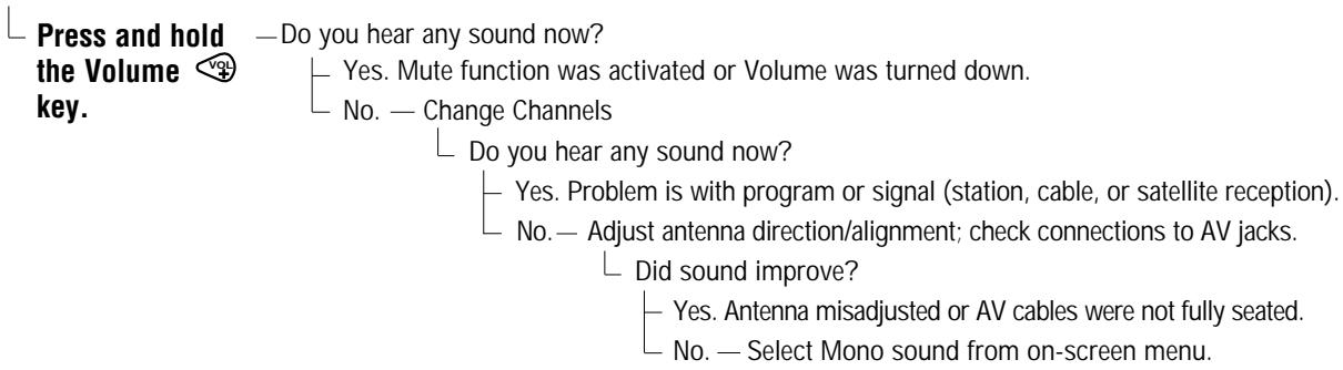 SANYO DS35520 - No sound, Poor Stereo sound - 1