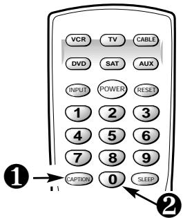 SANYO DS35520 - AJUSTANDO LA FUNCIÓN DE CAPTION - 1