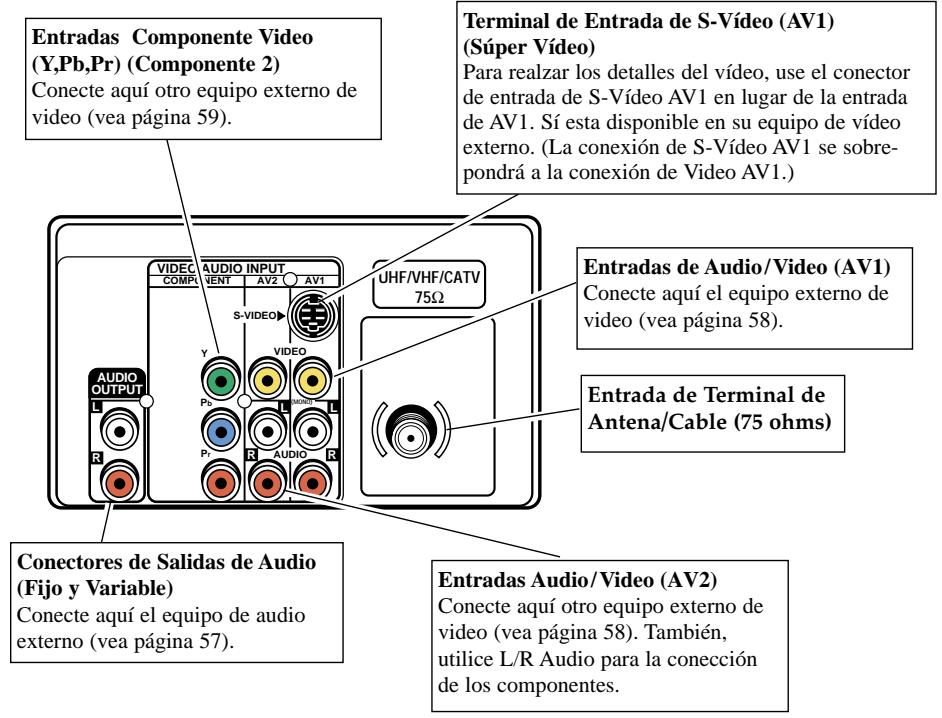 SANYO DS35520 - PANEL POSTERIOR - 1