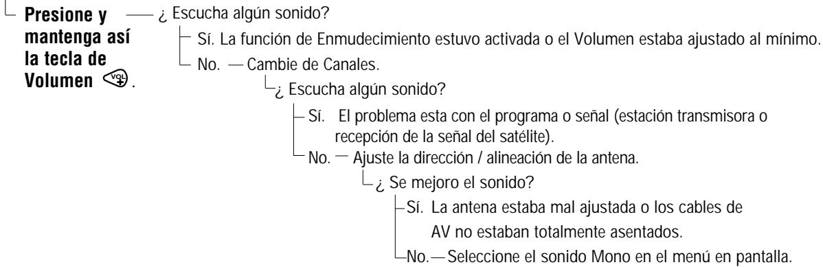 SANYO DS35520 - Sin sonido, Sonido Estéreo Pobre - 1