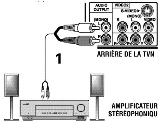 SANYO HT27547 - Prises des sorties audio (analogique) - 1