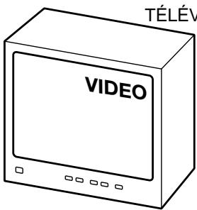 TÉLÉV VIDEO