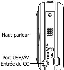SANYO VPC-E890 - Introduction - 2