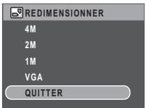 SANYO VPC-E890 - Redimensionner - 1