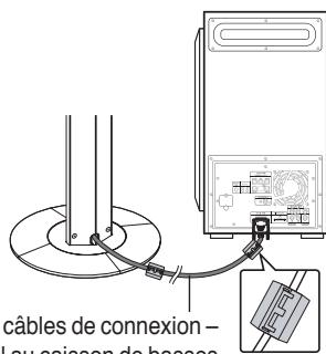 SAMSUNG HT-TXQ120T - Installation du lecteur de DVD - 10
