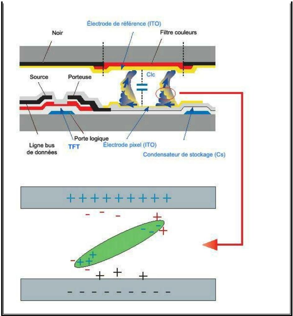 SAMSUNG SYNCMASTER 720N - Modifie périodiquement la couleur de l'information (utilise 2 couleurs différentes). - 2