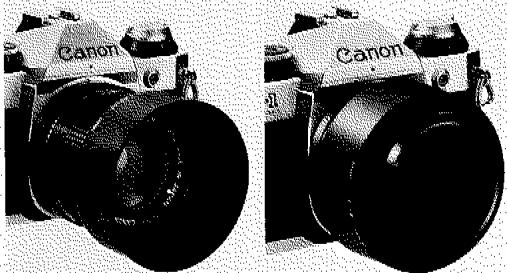CANON AE-1 PROGRAM - Parosol - 1