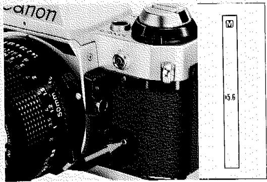 CANON AE-1 PROGRAM - Prise de vue avec objectifs non-FD - 1
