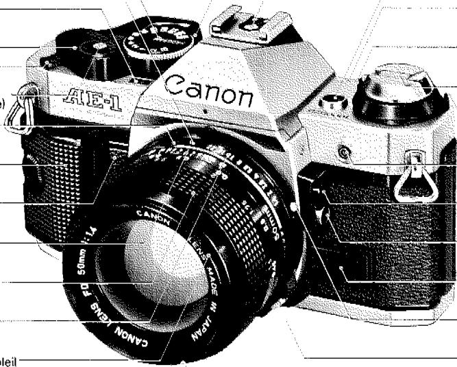 CANON AE-1 PROGRAM - 2