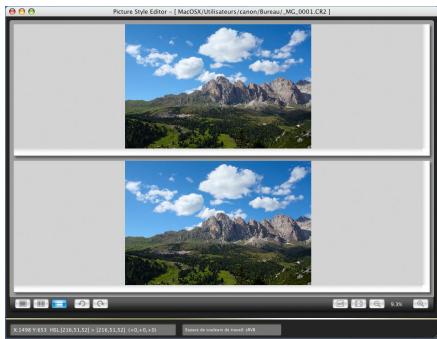 CANON PICTURE STYLE EDITOR VERSION 1.5 - Affichage (division haut/bas) [ ] - 1