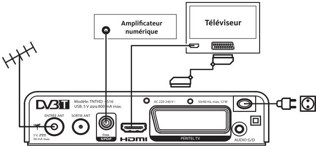 LISTO TNTHD-516 - Recyclage des piles - 1
