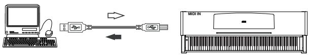 KORG C520 - Trasferimento dati mediate porta USB - 1