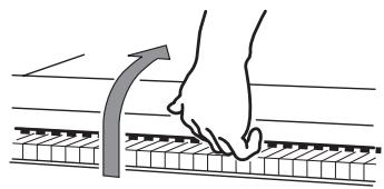 KORG C520 - Ouvrir le piano - 1