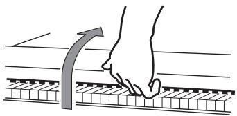 KORG C520 - Aprière l coperchio - 1