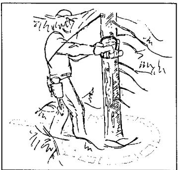 JONSERED 2083 - C Emondage des branches basses et voie de retraite - 1