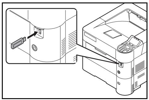 KYOCERA FS-2100DN - Mémoire USB - 1