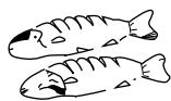 DAEWOO KOC9UOT - Disposition des aliments - 6