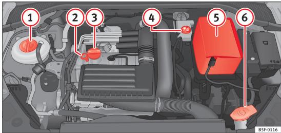 SEAT LEON 3 - Contrôle des niveaux - 1