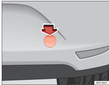 SEAT LEON 3 - Œillet arrière - 1