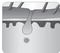 BABYLISS G946E HOMELIGHT CONNECTED - Ciclo de crescimento do belo - 8