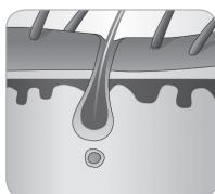 BABYLISS G946E HOMELIGHT CONNECTED - Haargroeicyclus - 6