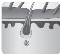 BABYLISS G946E HOMELIGHT CONNECTED - Ciclo de crescimiento delleo - 7