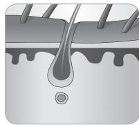 BABYLISS G946E HOMELIGHT CONNECTED - Cycle de croissance du poil - 8
