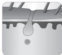 BABYLISS G946E HOMELIGHT CONNECTED - Hair growth cycle - 8