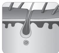 BABYLISS G946E HOMELIGHT CONNECTED - Hair growth cycle - 7