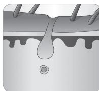 BABYLISS G946E HOMELIGHT CONNECTED - Der Wachstumszyklus des Haars - 8