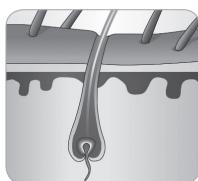 BABYLISS G946E HOMELIGHT CONNECTED - Haargroeicyclus - 5