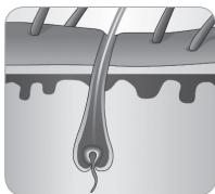 BABYLISS G946E HOMELIGHT CONNECTED - Hair growth cycle - 6