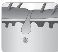 BABYLISS G946E HOMELIGHT CONNECTED - Ciclo de crescimiento delleo - 8