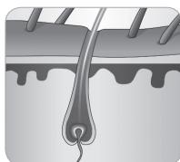 BABYLISS G946E HOMELIGHT CONNECTED - Ciclo de crescimiento delleo - 6