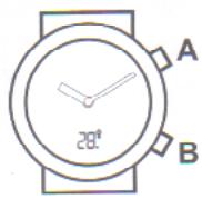 AURIOL 2-LD2970-8 - Montre bracelet radio-pilotée - 2