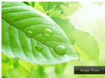 TELEFUNKEN DPF 10933 6 - Fotos - 2