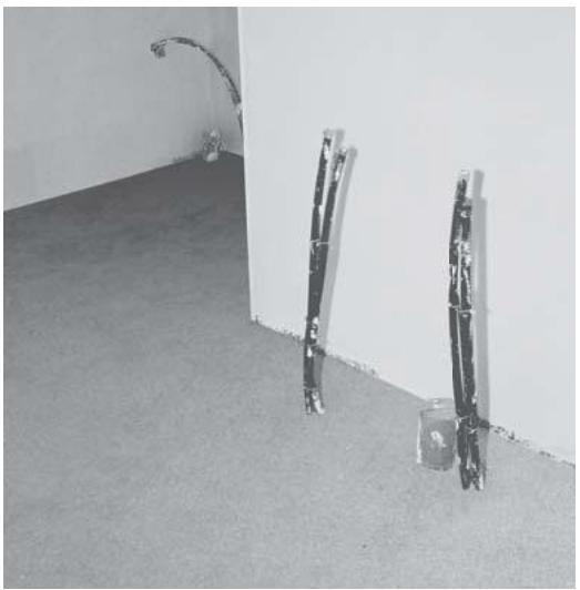 ATLANTIC DOMOCABLE - I/ Préparation du sol - 1