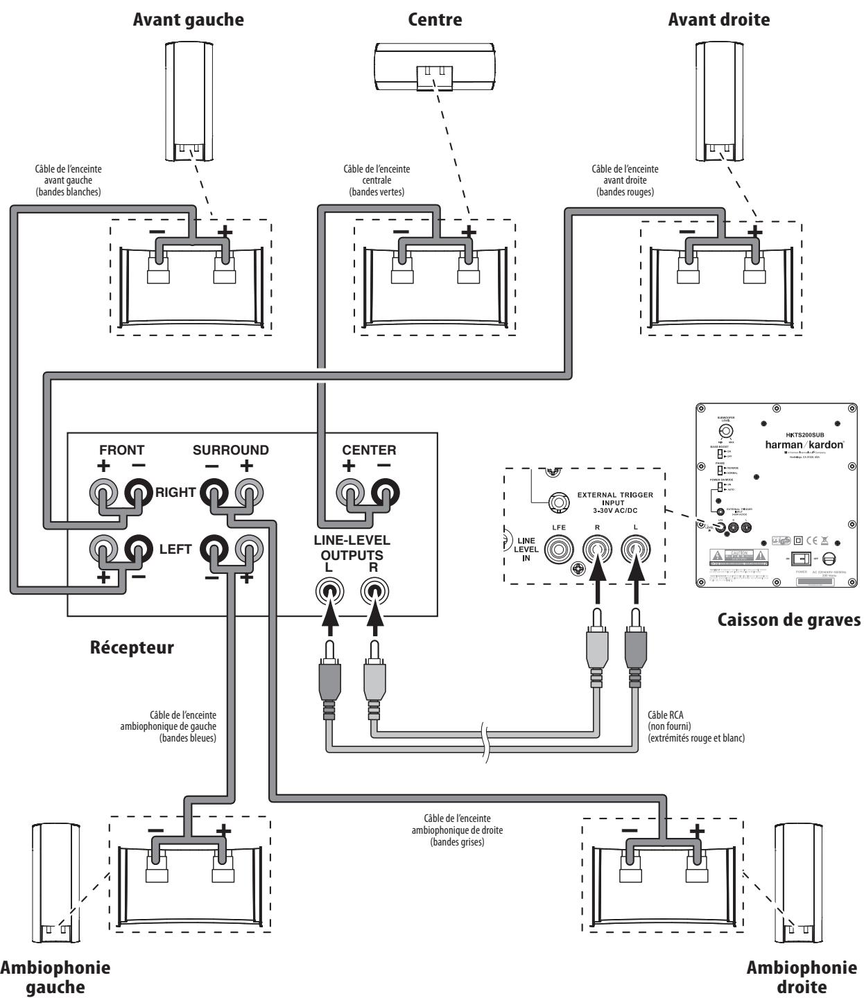 HARMAN KARDON HKTS 35 - Branchement du caisson de graves à un récepteur ou un préampli/processeur avec sortie caisson de graves dédiée - 1