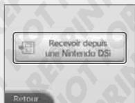 NINTENDO 3DS XL - Transfert - 5