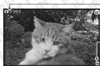 NINTENDO 3DS XL - Prendre des photos - 1