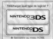 NINTENDO 3DS XL - Mode téléchargement - 9