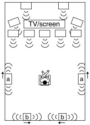 ONKYO TX-NR5010 - Using Dipole Speakers - 1