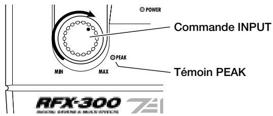 ZOOM RFX300 - Mise sous tension de l'appareil - 1