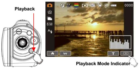 BENQ DV S21 - ImagesPlayback - 1