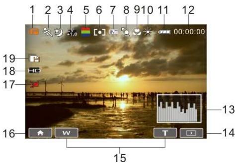 BENQ DV S21 - In Movie Clip Mode - 1