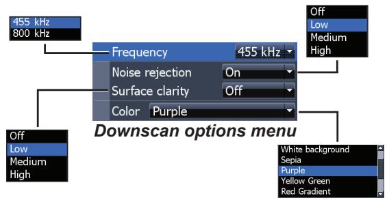 LOWRANCE ELITE 7 M - Downscan options - 1